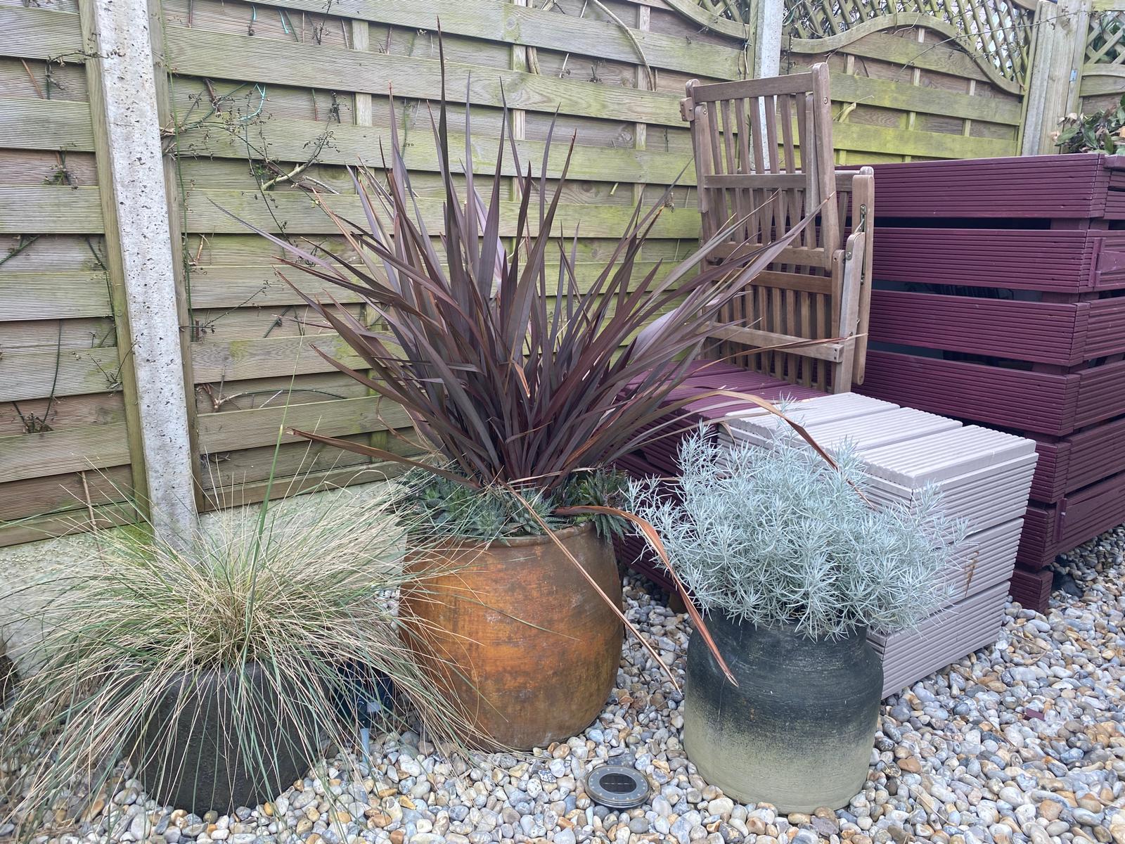 The Maritime Pocket coastal-inspired garden planting
