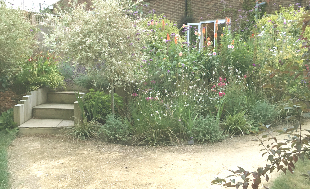 The Gentle Sweep soft curves in landscape planting