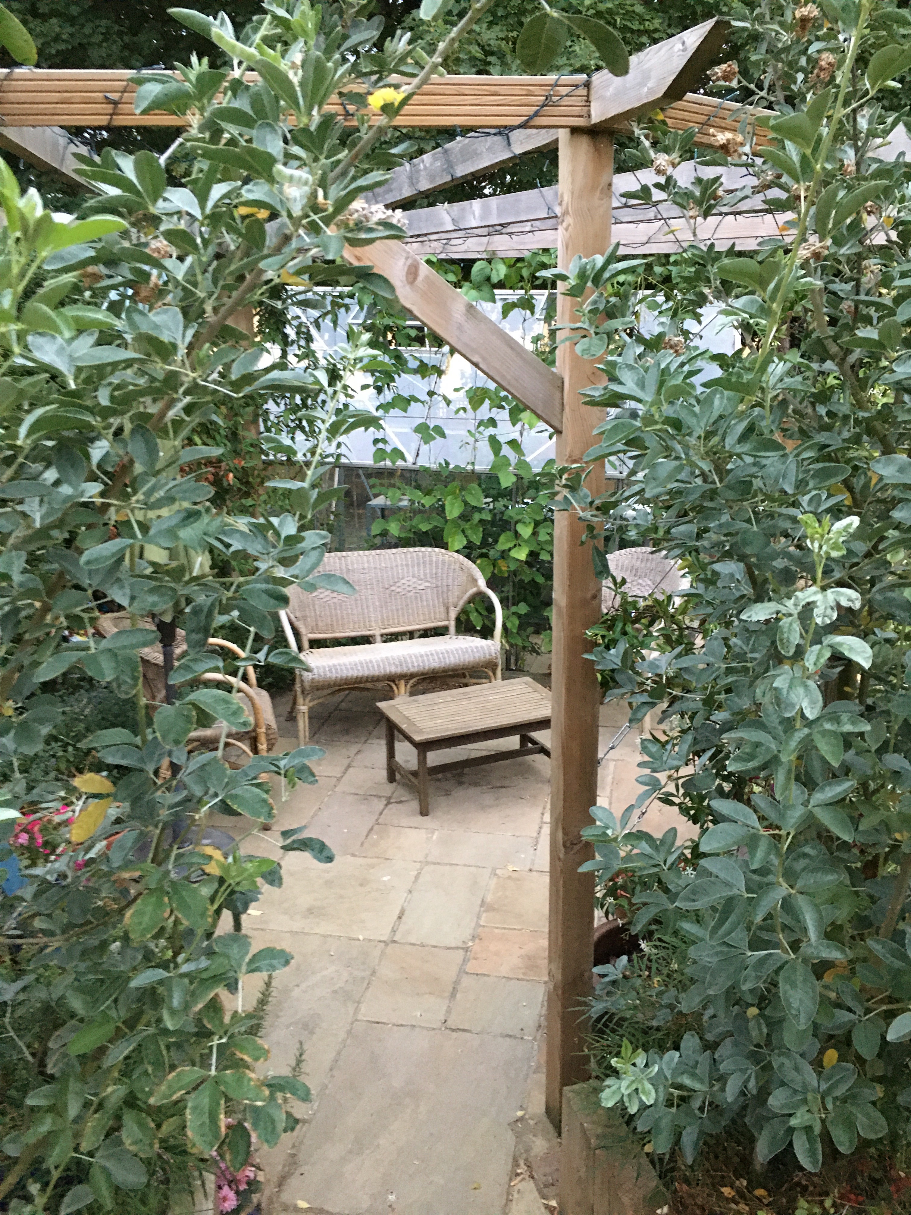 the gentle sweep benches nestled in a tranquil garden