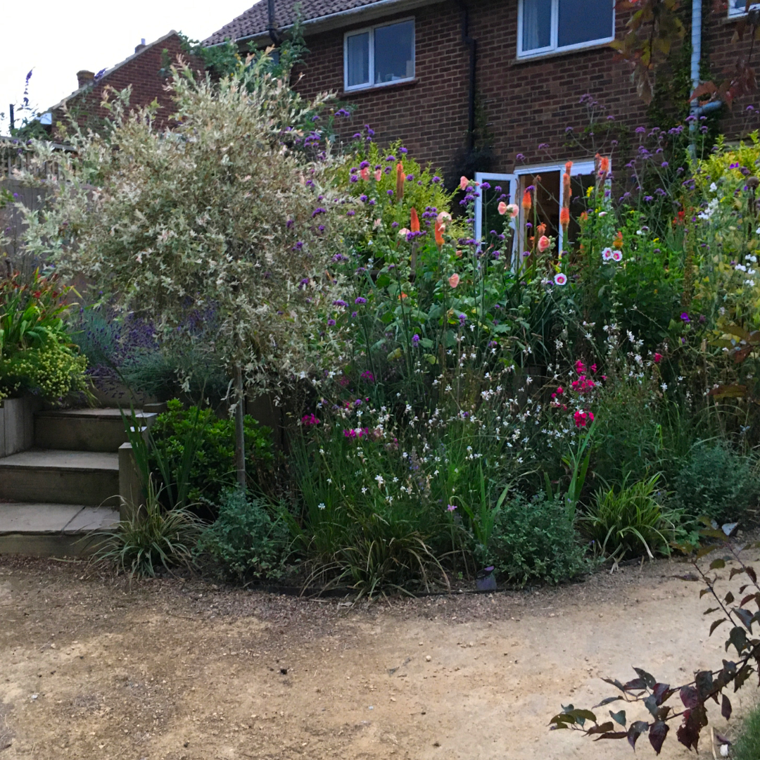 The Gentle Sweep ornamental shrubs in sweeping design