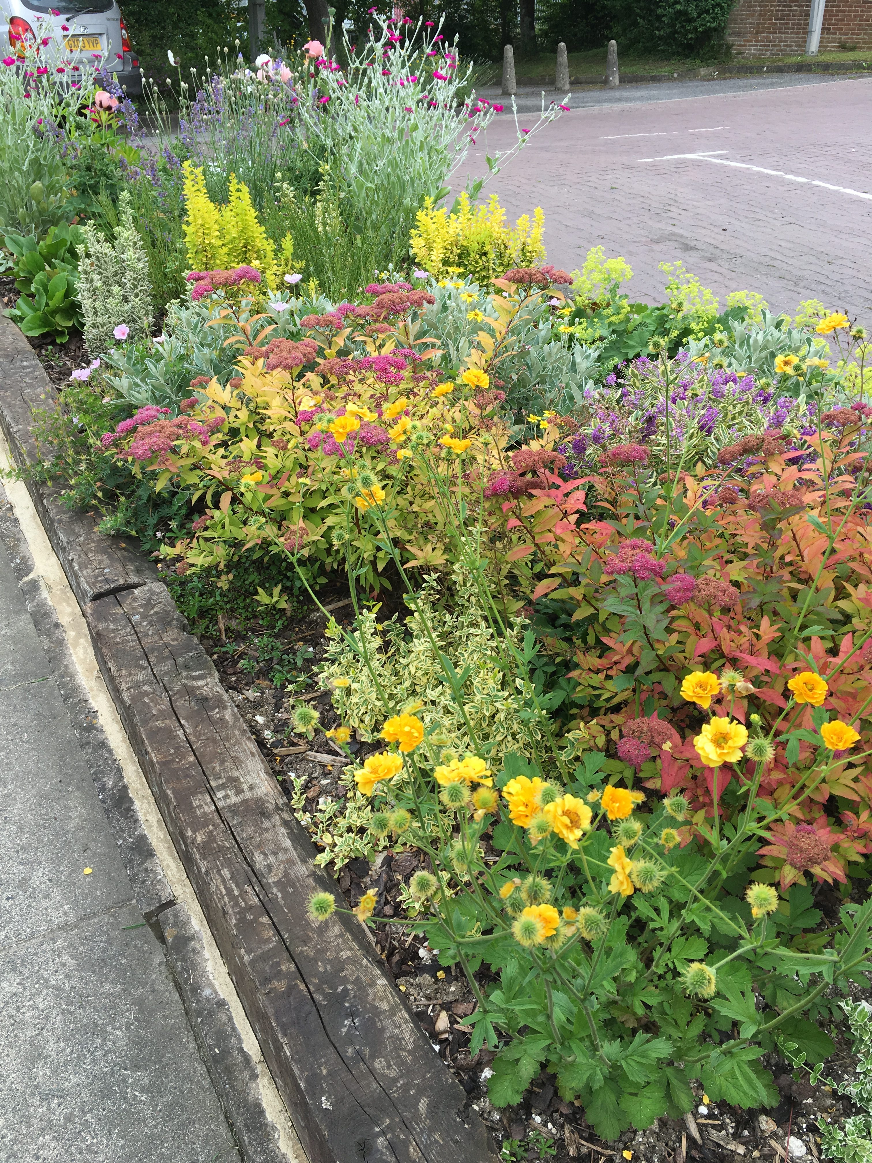 Curb Appeal garden borders with mixed perennials