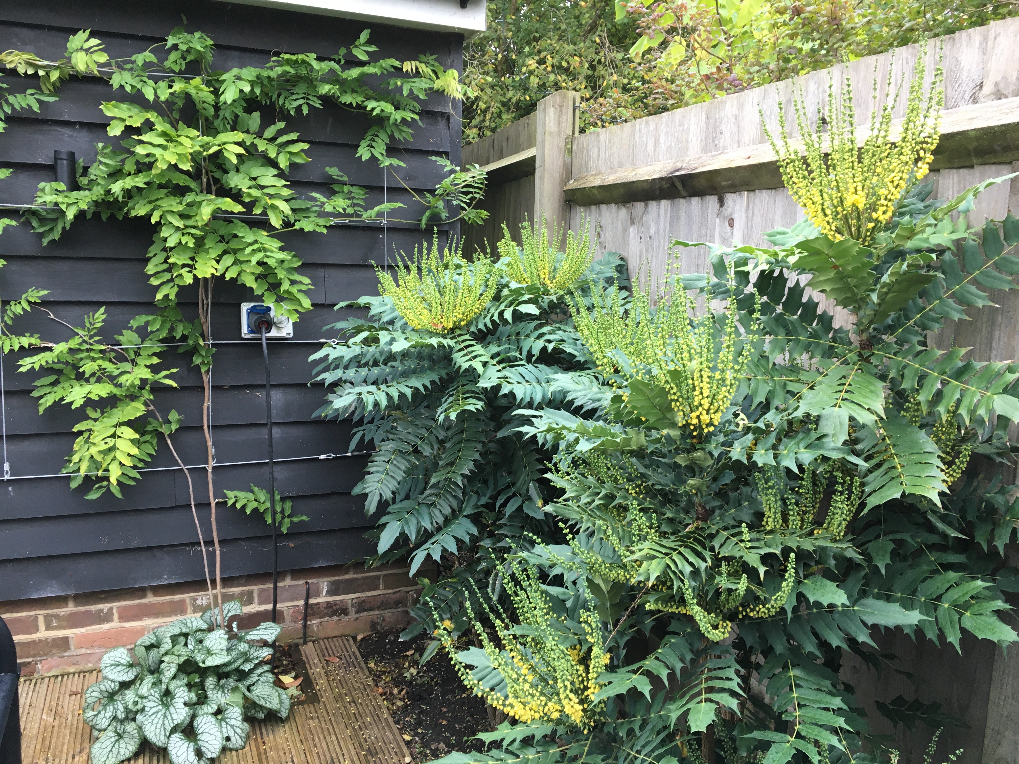 The Timeless Escape layered perennials and greenery