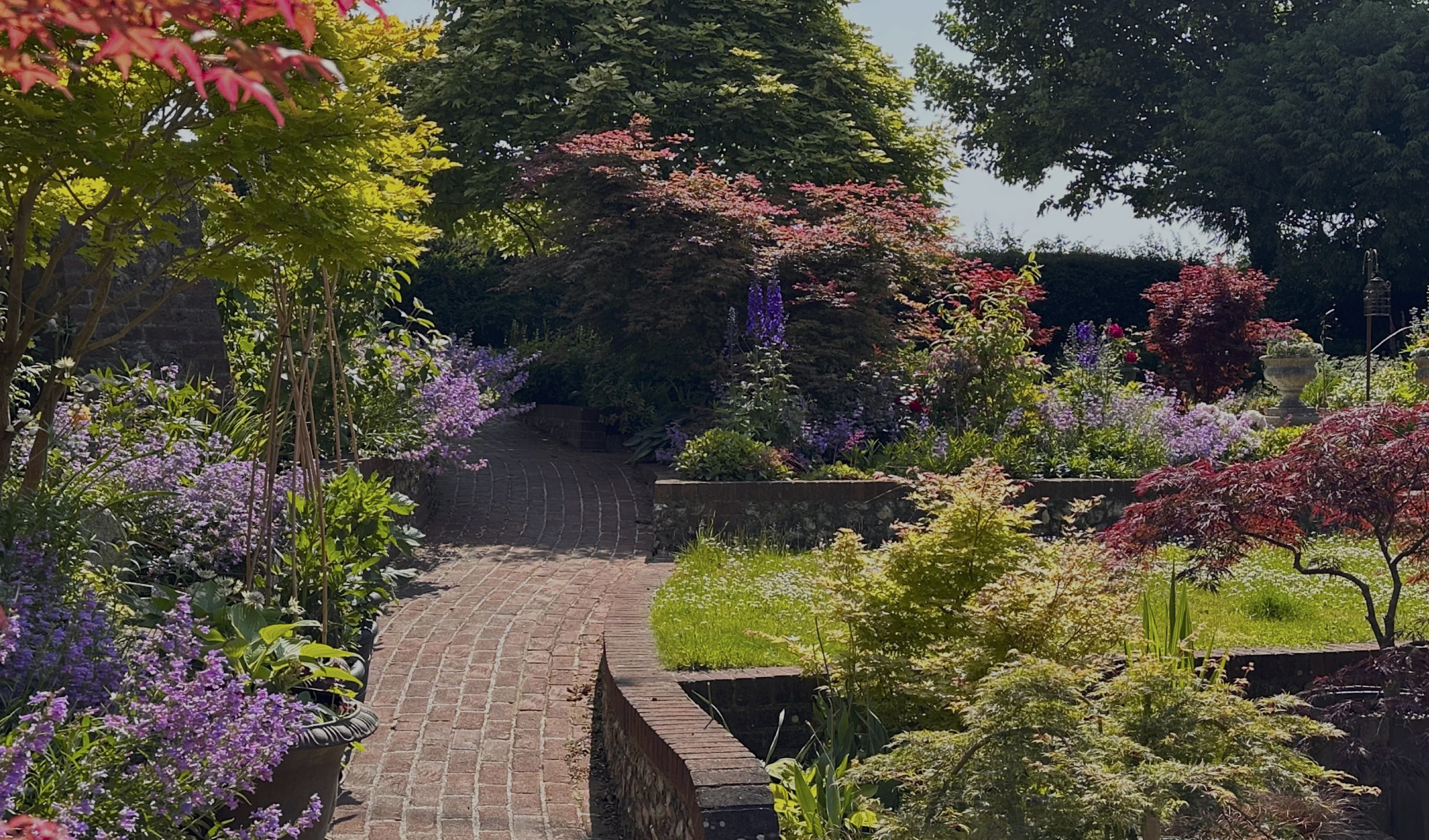 The Harmonious Retreat flowering plants in harmony