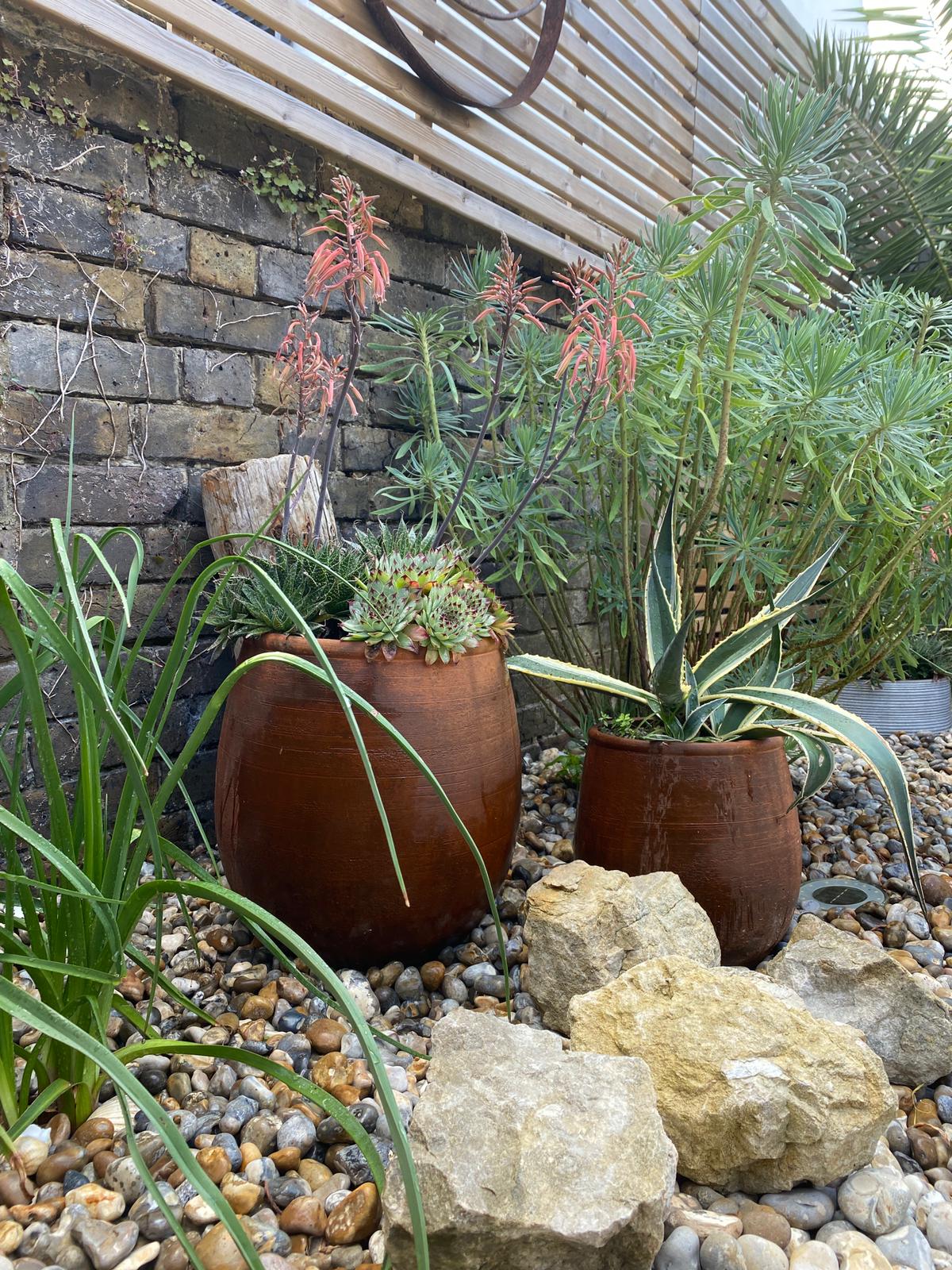 The Maritime Pocket close-up of maritime flowers