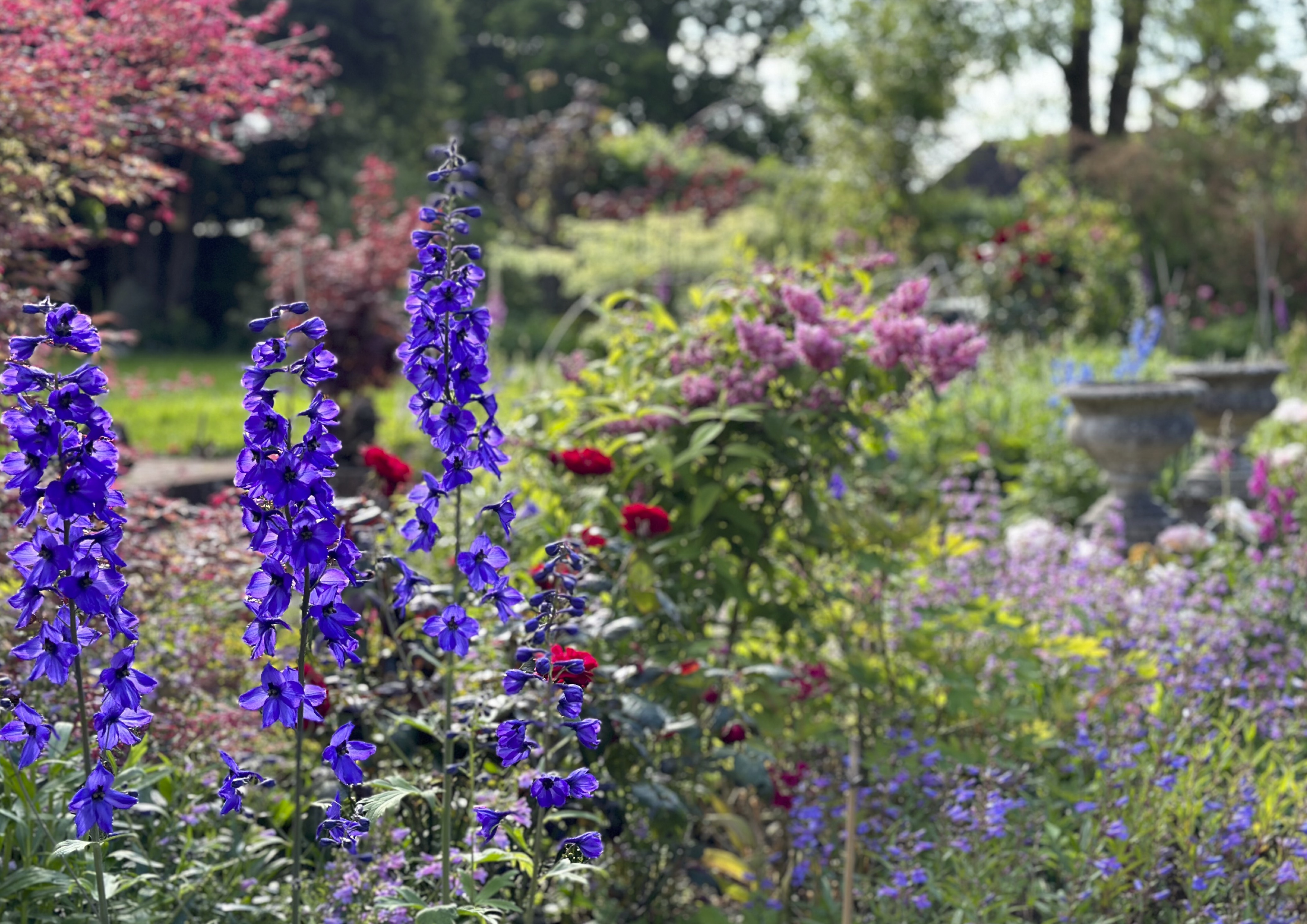 The Harmonious Retreat close-up of harmonious foliage
