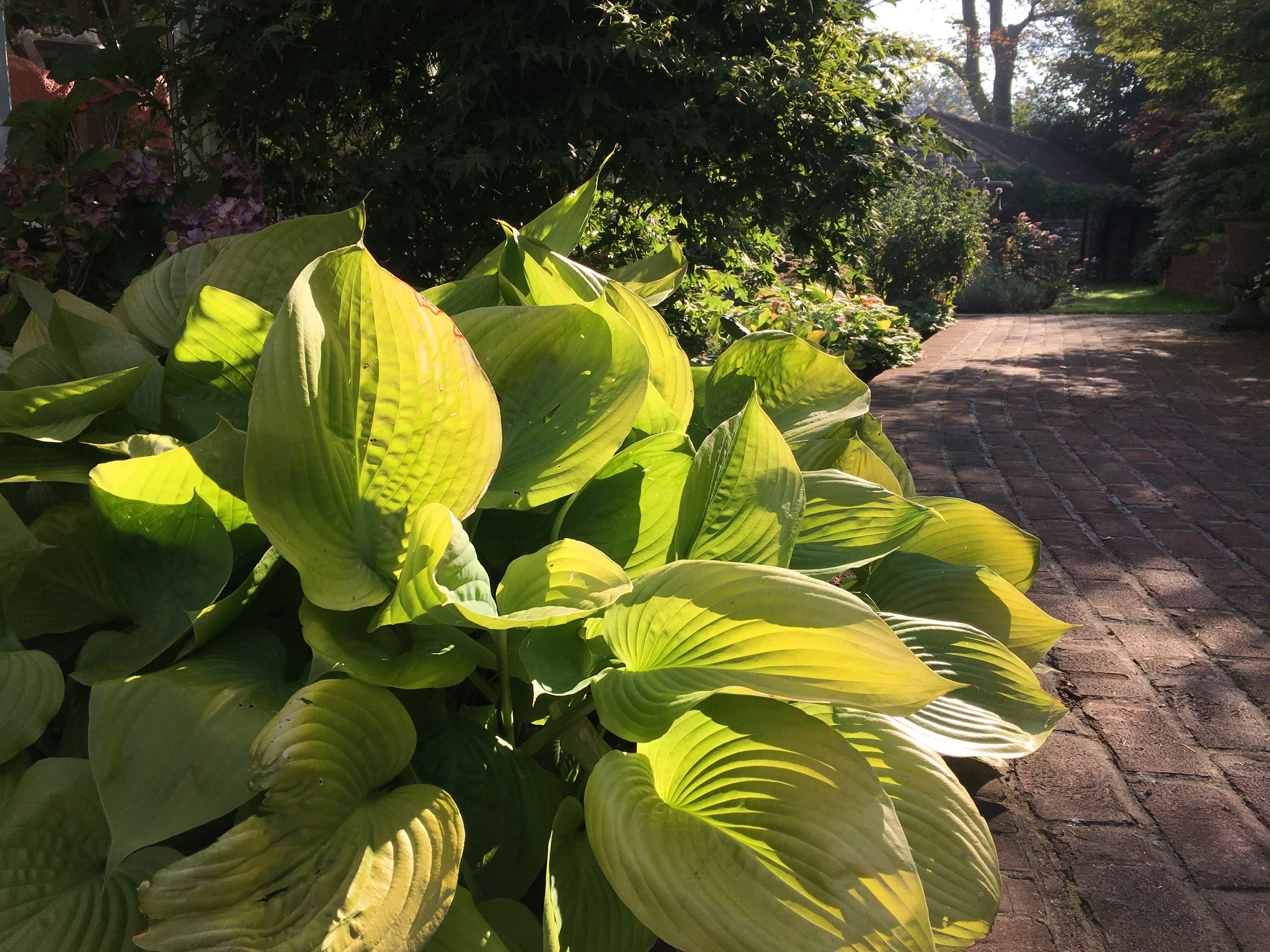 The Harmonious Retreat naturalistic planting design