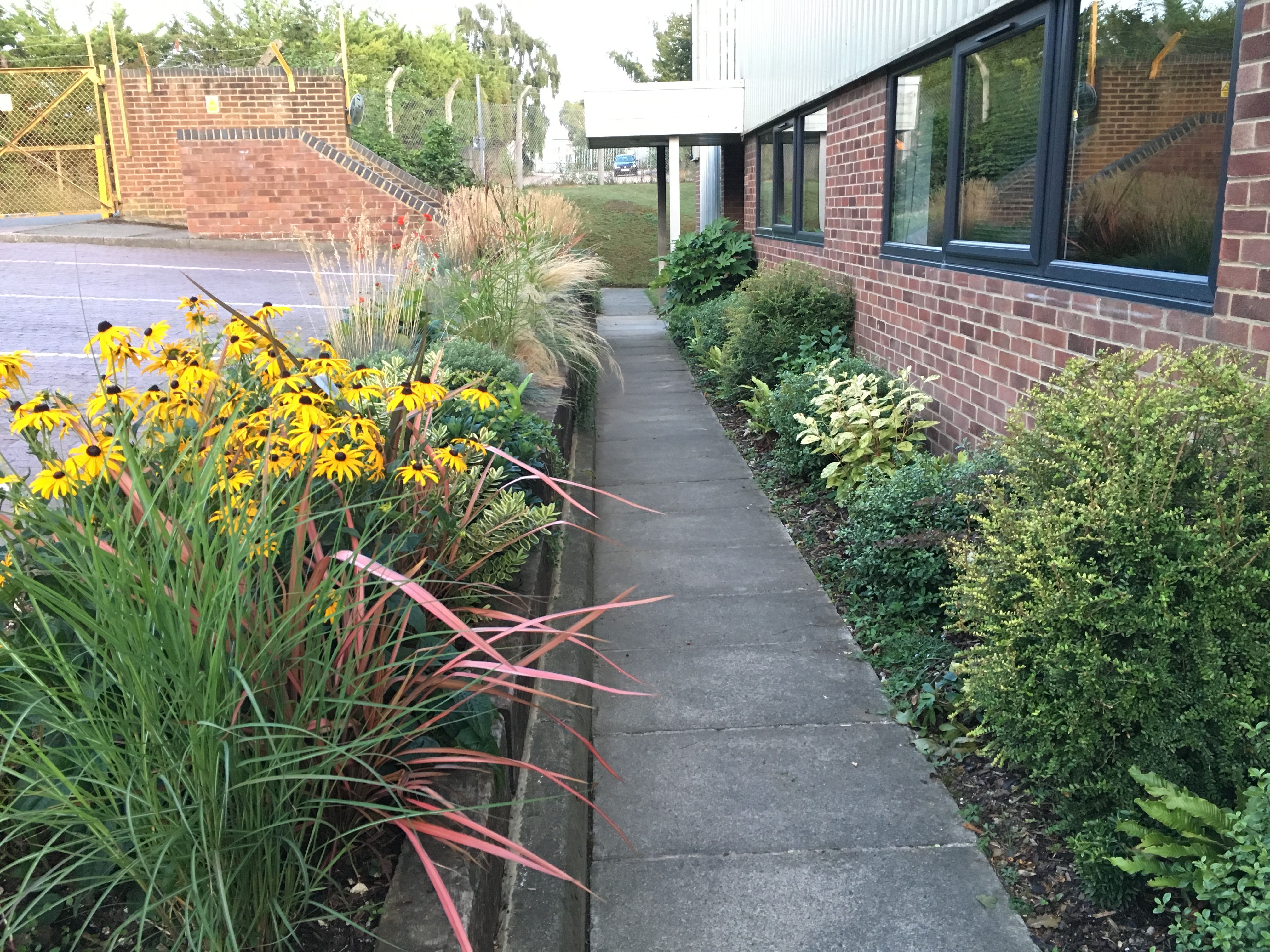 Curb Appeal structured layout with symmetrical planting