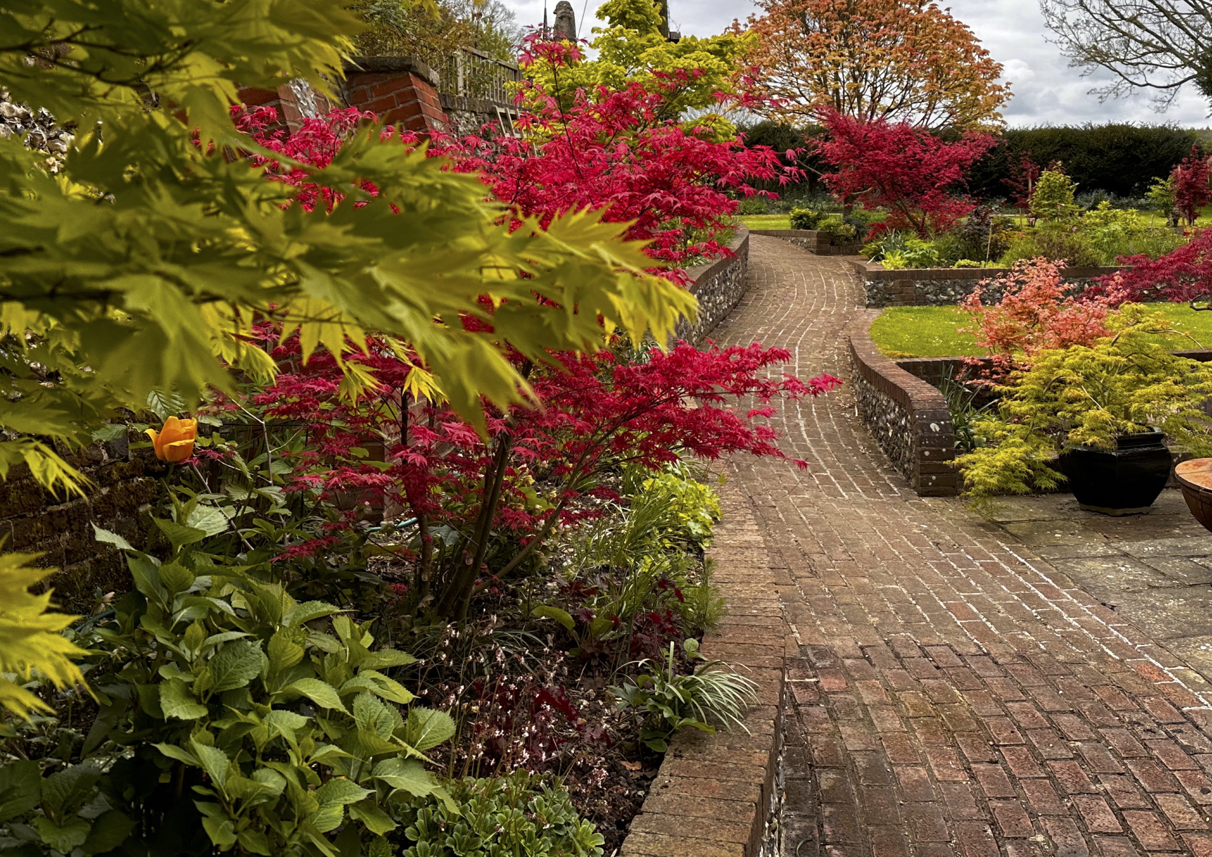 The Harmonious Retreat rich red and yellow acres